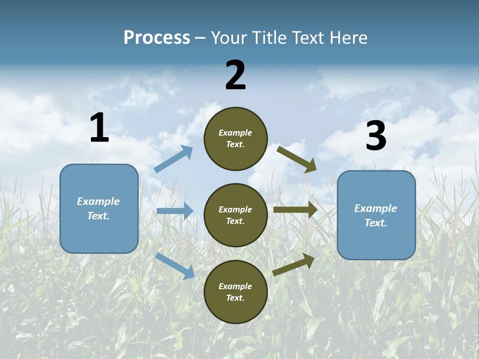 Indian Corn Sky Food PowerPoint Template