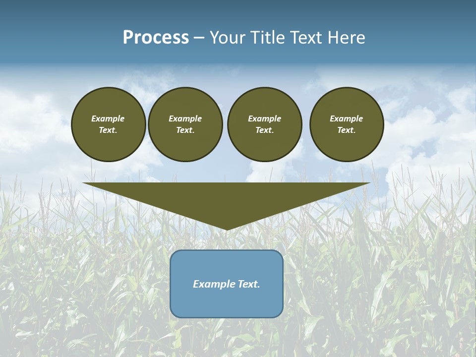 Indian Corn Sky Food PowerPoint Template