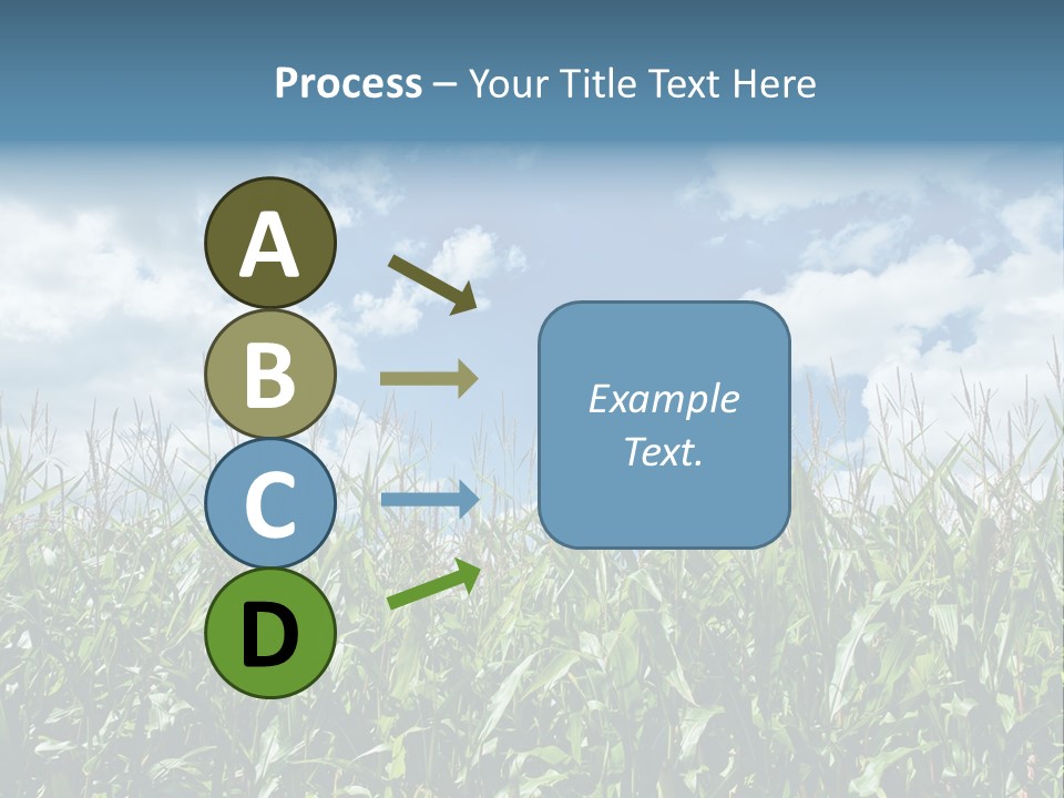 Indian Corn Sky Food PowerPoint Template