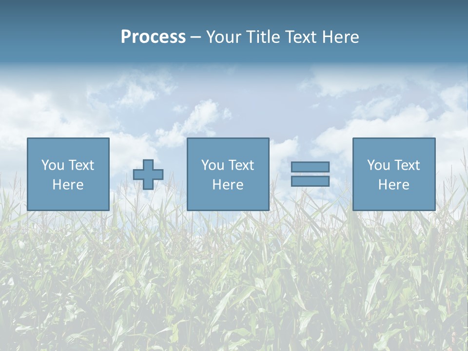 Indian Corn Sky Food PowerPoint Template