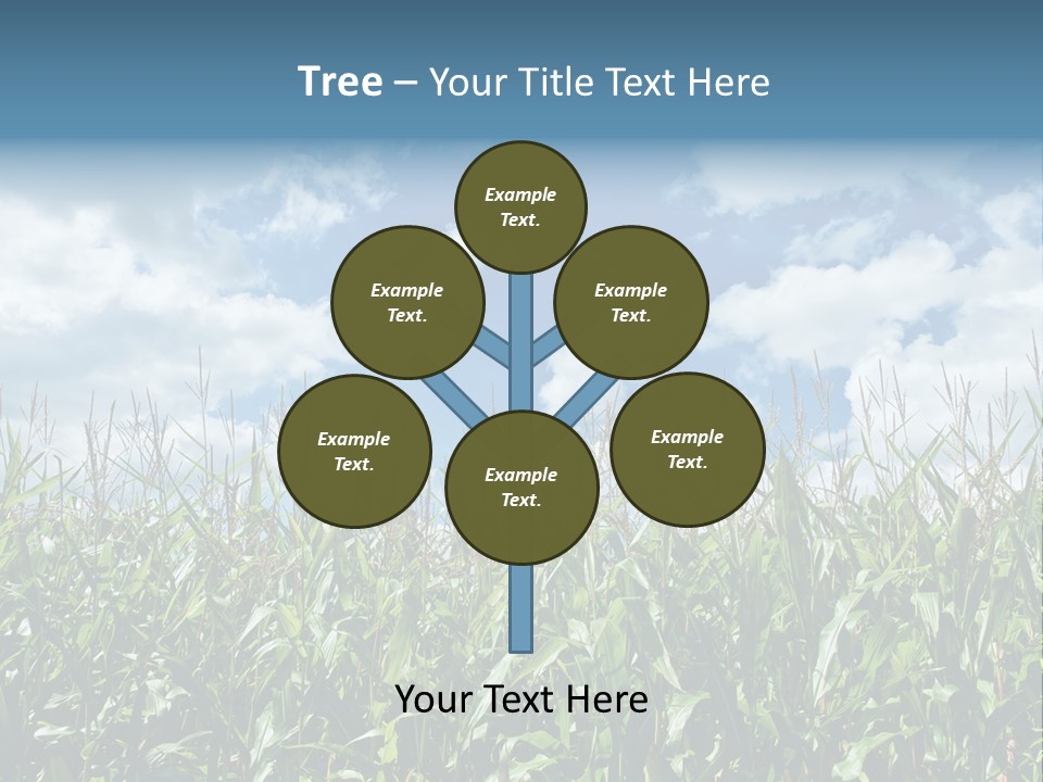 Indian Corn Sky Food PowerPoint Template