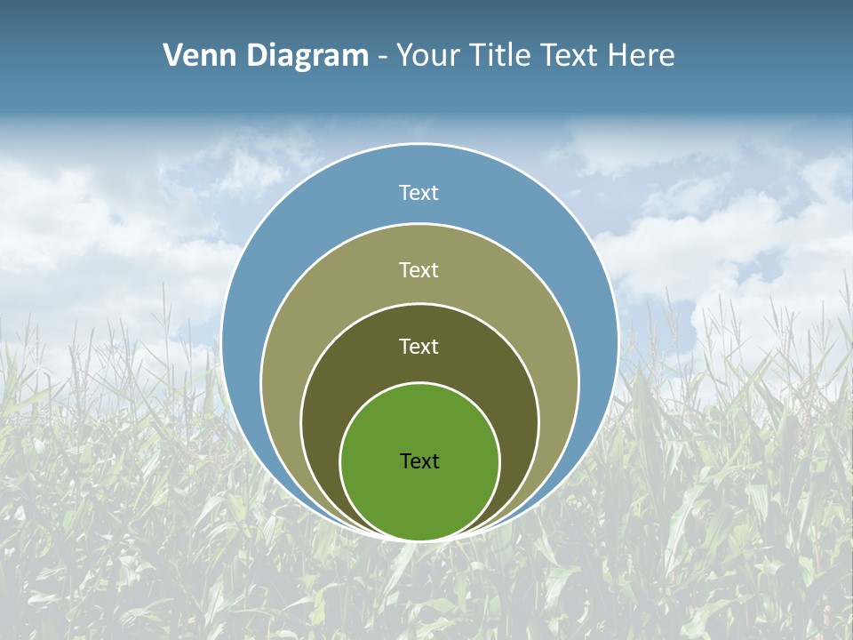 Indian Corn Sky Food PowerPoint Template