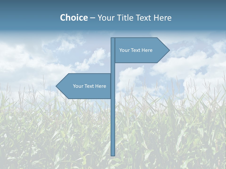 Indian Corn Sky Food PowerPoint Template