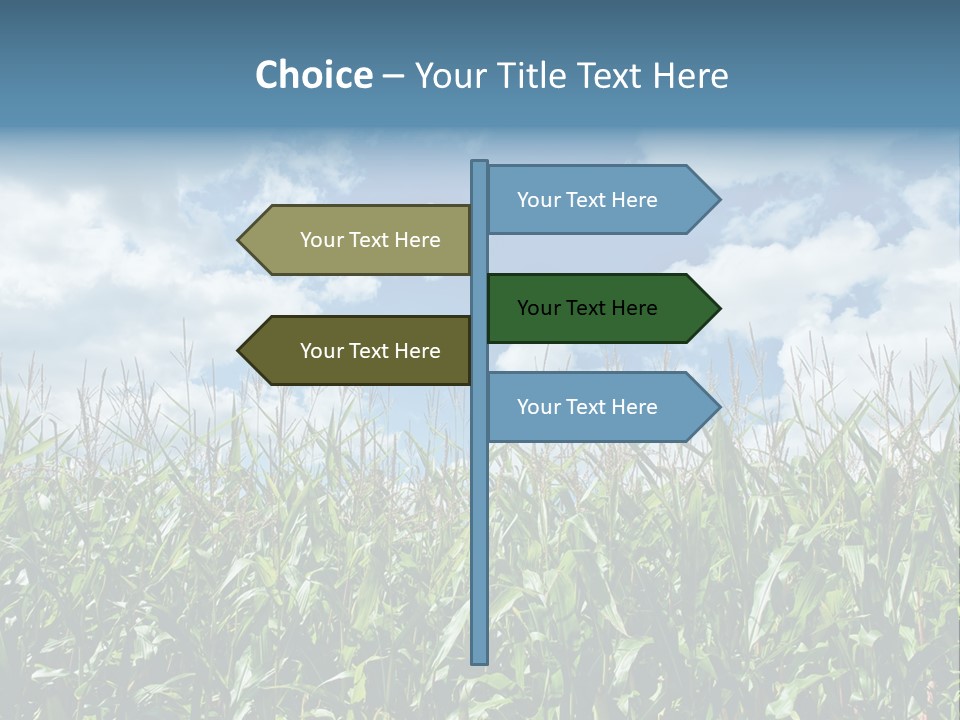 Indian Corn Sky Food PowerPoint Template
