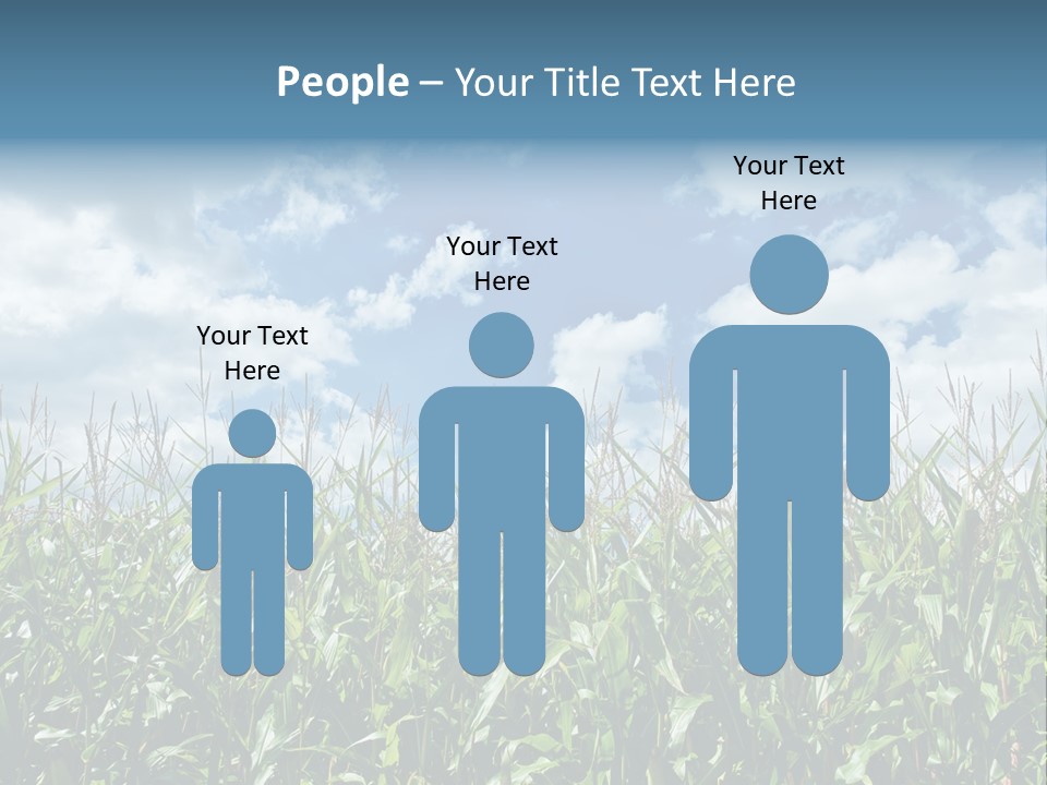 Indian Corn Sky Food PowerPoint Template