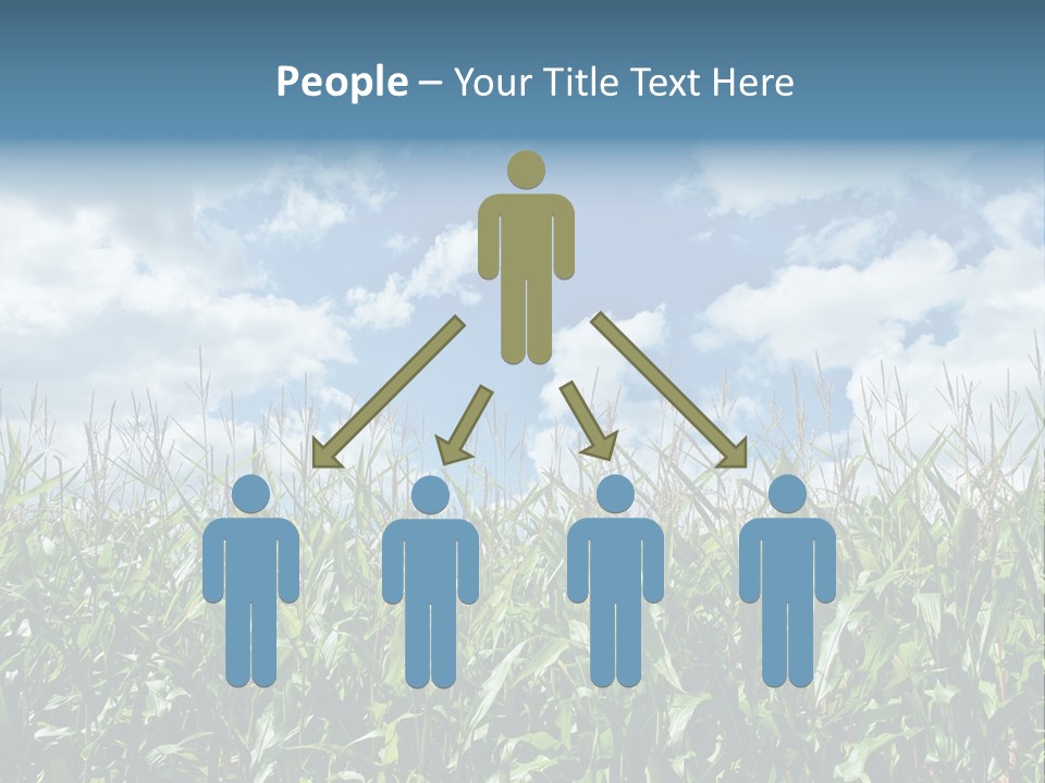 Indian Corn Sky Food PowerPoint Template