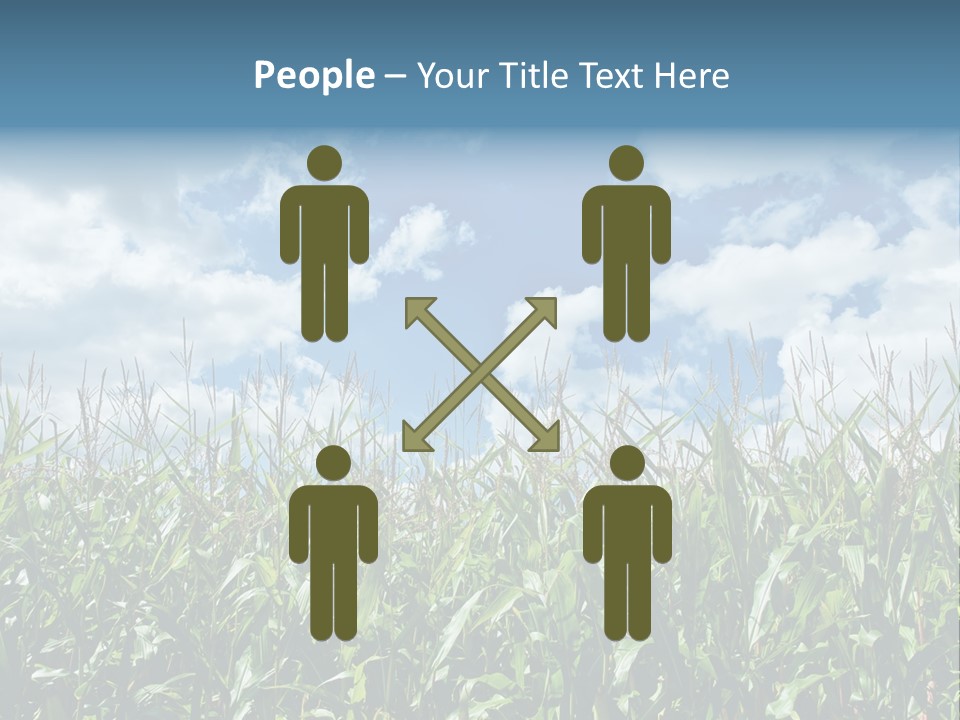 Indian Corn Sky Food PowerPoint Template