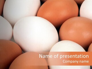 Meal Hen Aliment PowerPoint Template