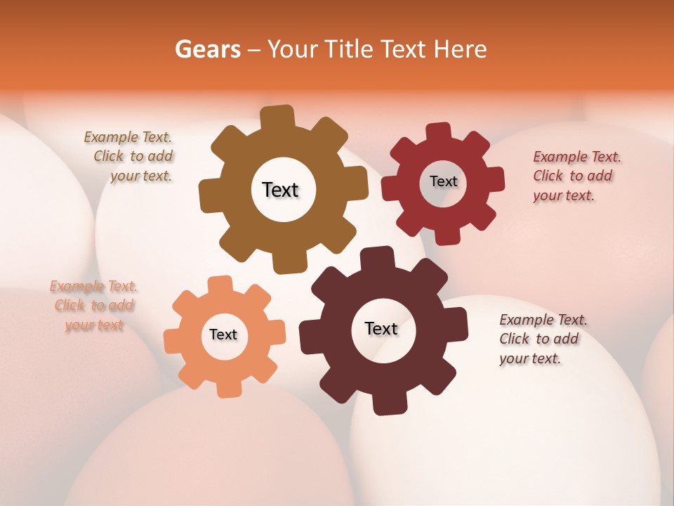 Meal Hen Aliment PowerPoint Template