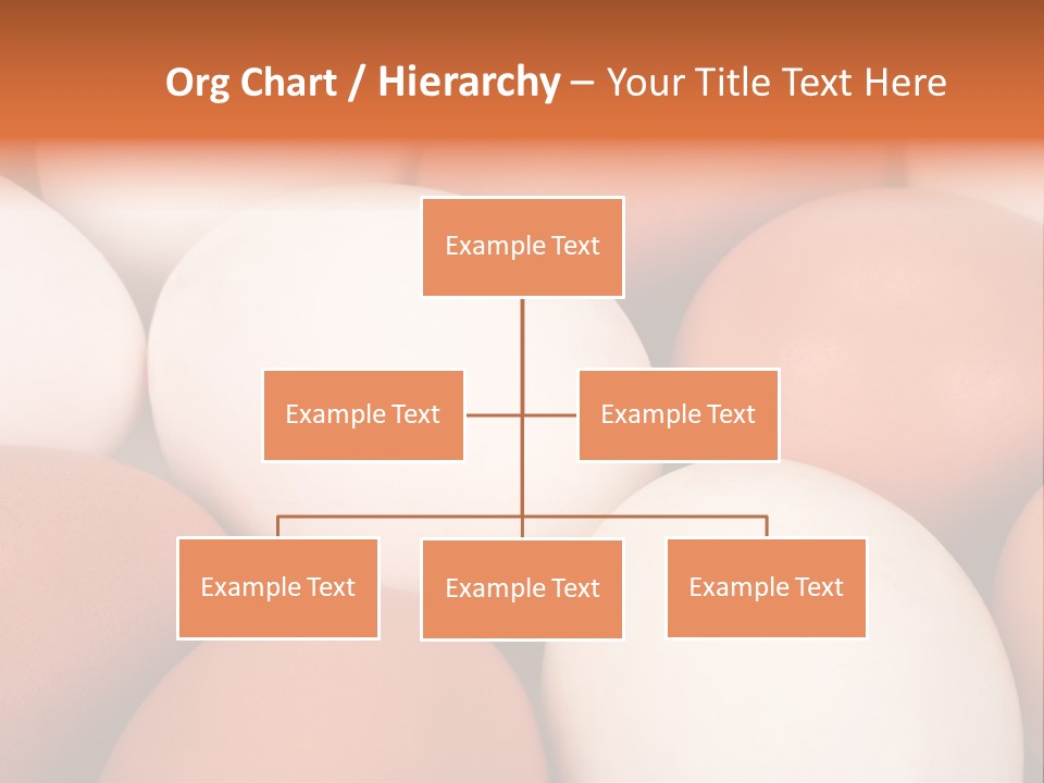 Meal Hen Aliment PowerPoint Template