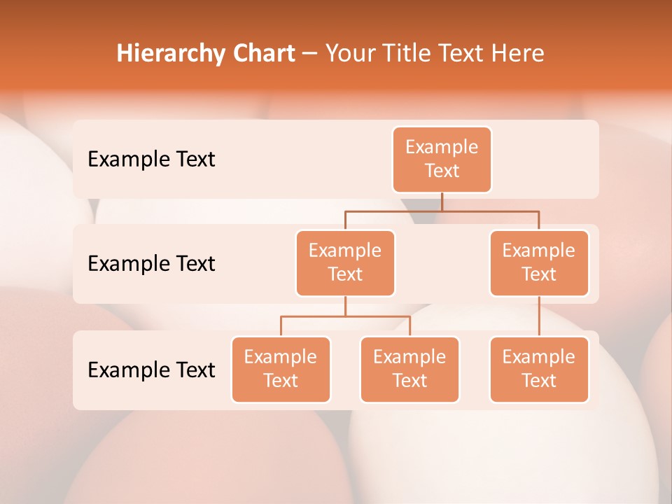 Meal Hen Aliment PowerPoint Template