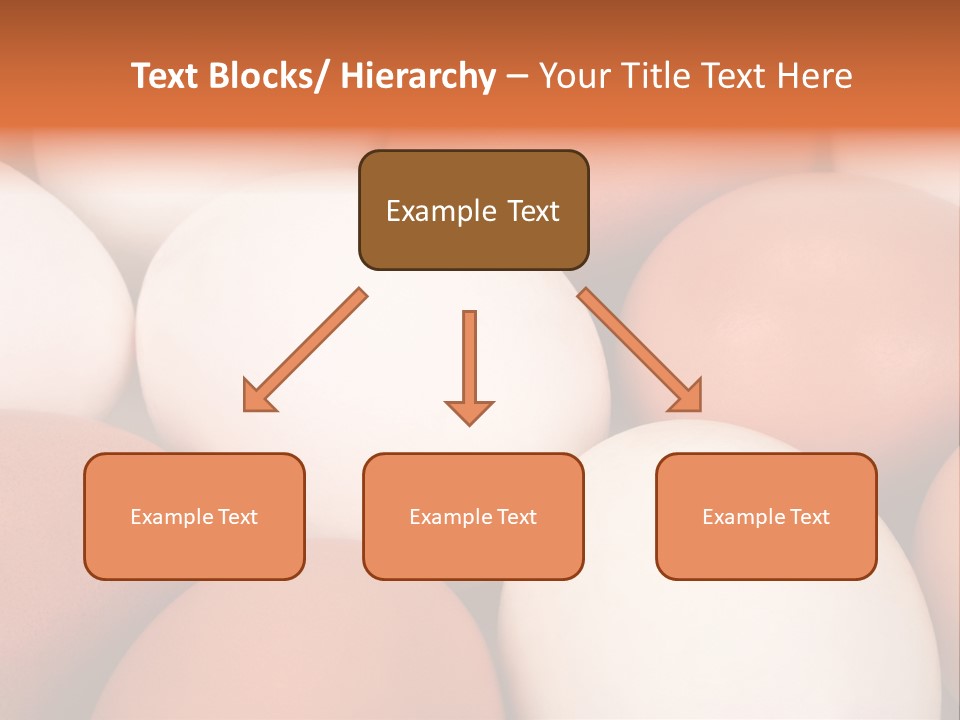 Meal Hen Aliment PowerPoint Template