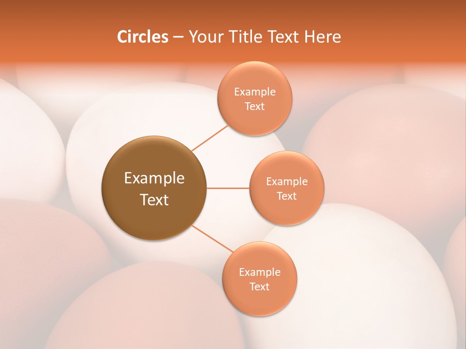 Meal Hen Aliment PowerPoint Template