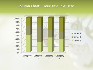 Closeup White Leaf PowerPoint Template
