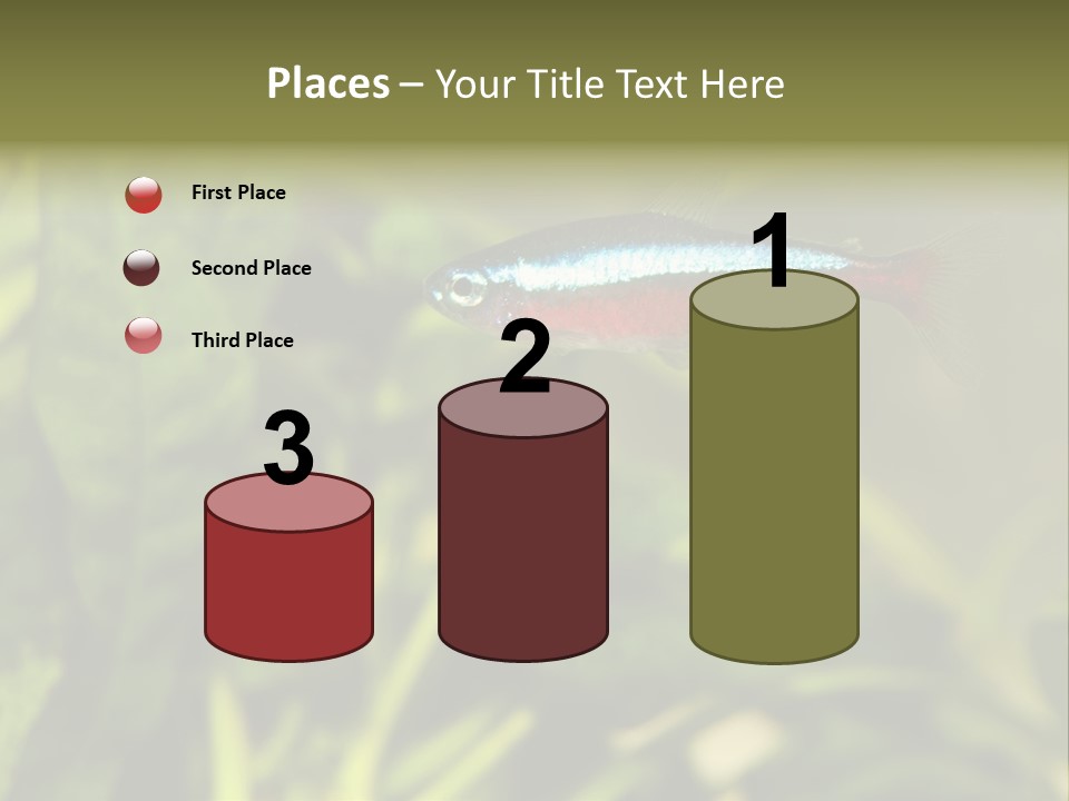 Water Freshwater Tropical PowerPoint Template