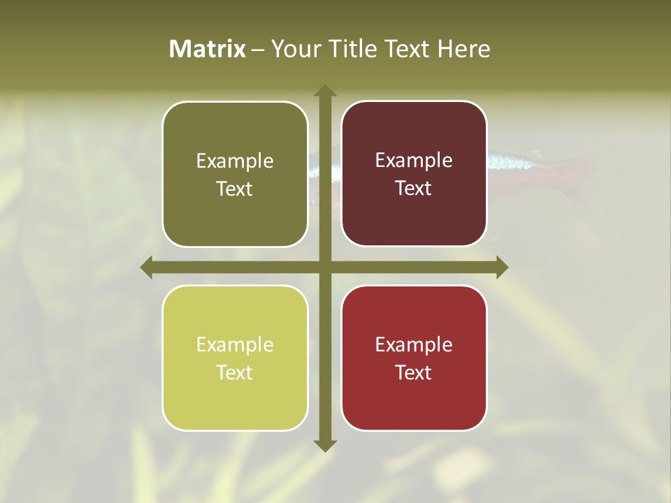 Water Freshwater Tropical PowerPoint Template