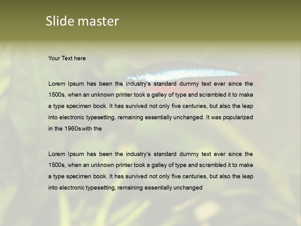 Water Freshwater Tropical PowerPoint Template