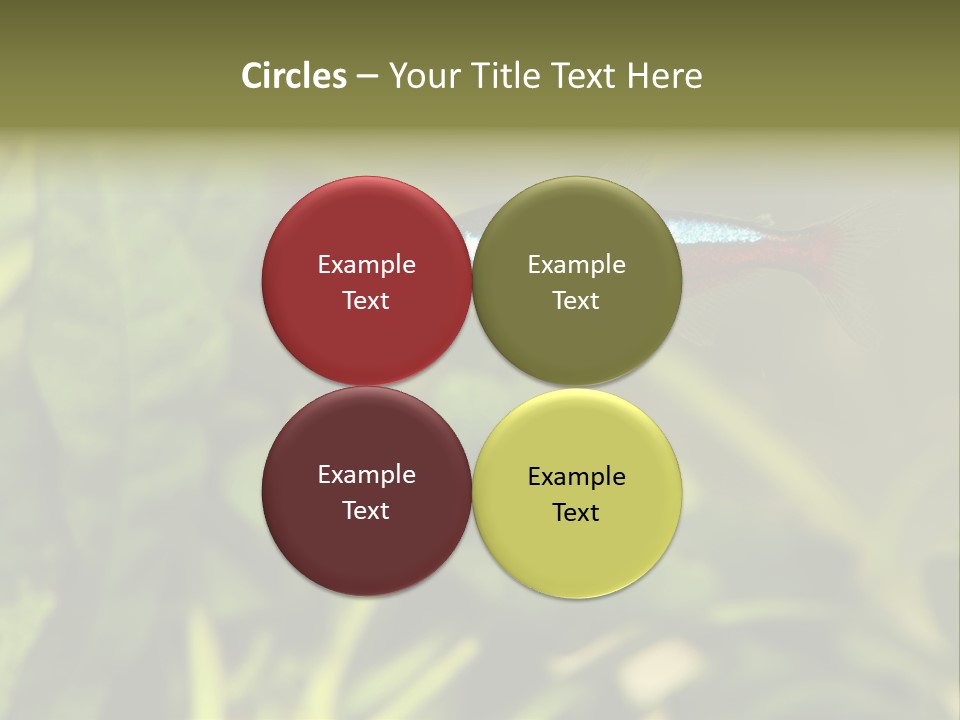 Water Freshwater Tropical PowerPoint Template