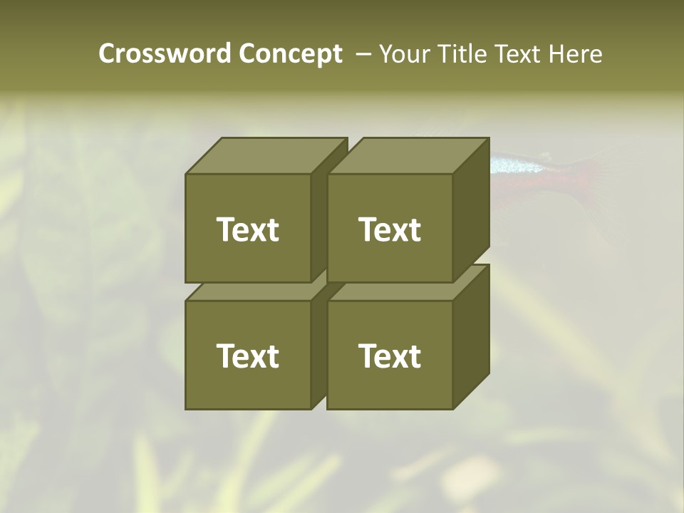 Water Freshwater Tropical PowerPoint Template