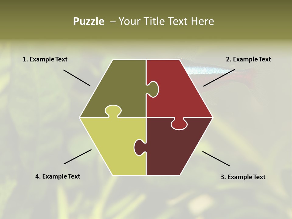 Water Freshwater Tropical PowerPoint Template