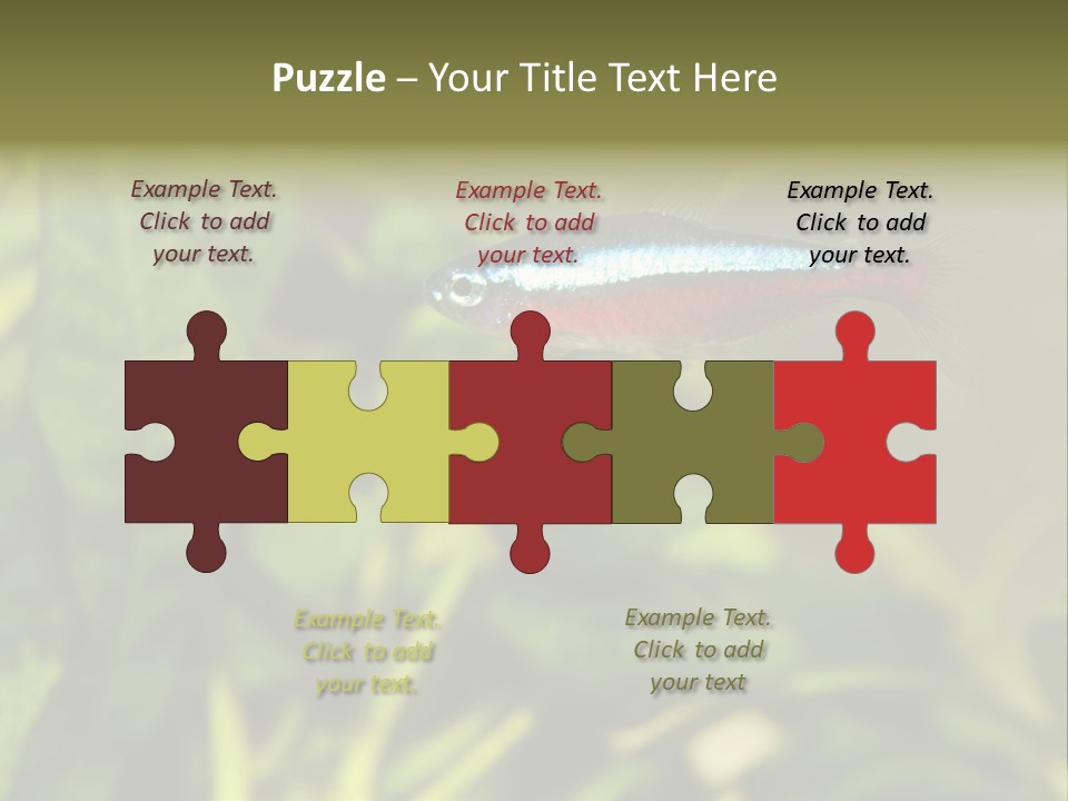 Water Freshwater Tropical PowerPoint Template