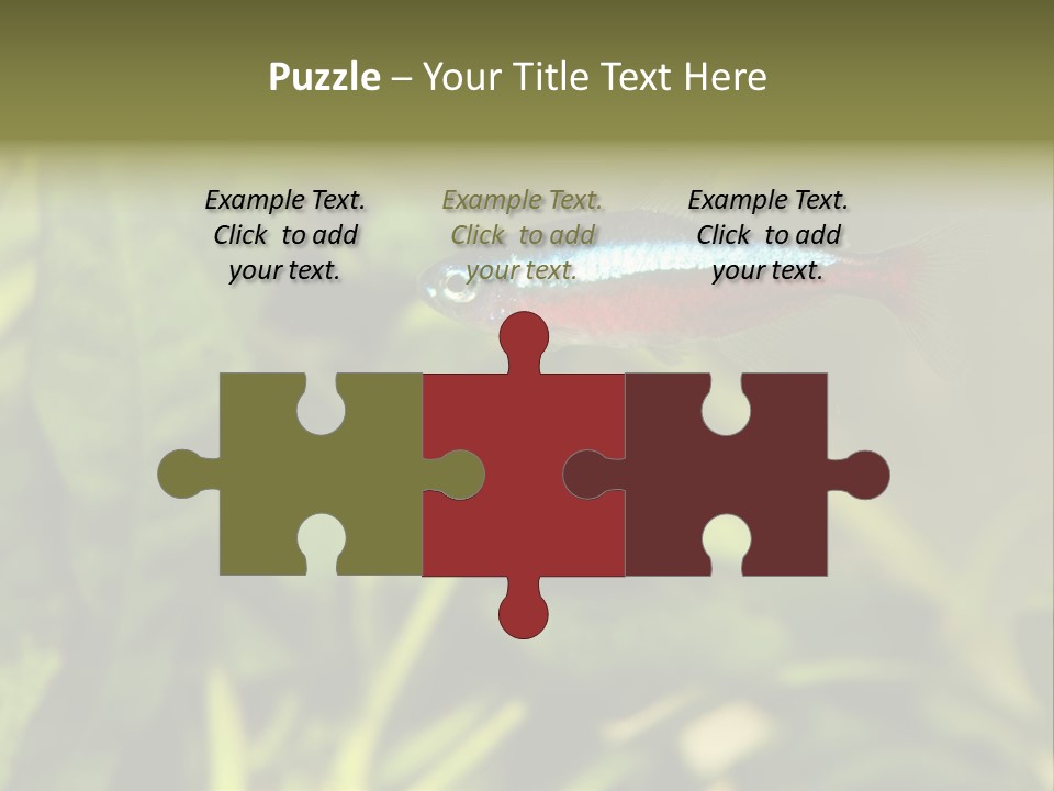 Water Freshwater Tropical PowerPoint Template