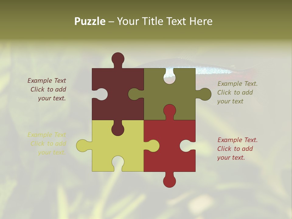 Water Freshwater Tropical PowerPoint Template