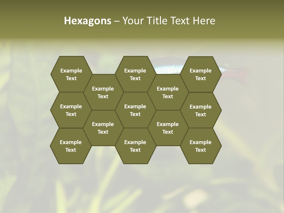 Water Freshwater Tropical PowerPoint Template