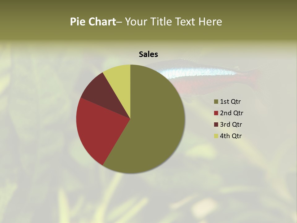 Water Freshwater Tropical PowerPoint Template