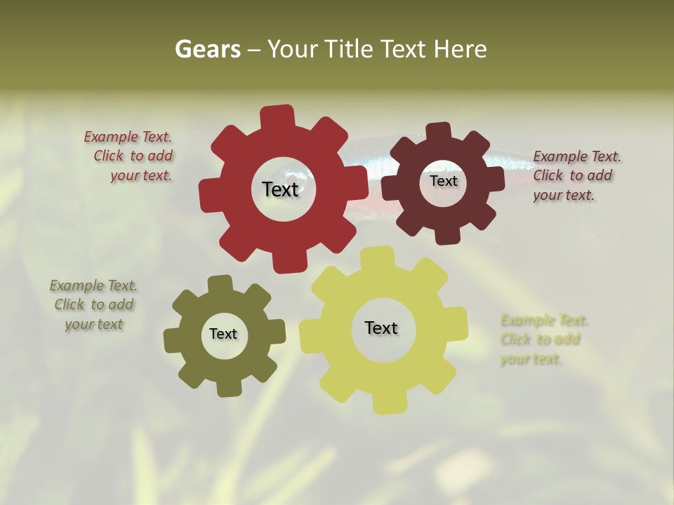 Water Freshwater Tropical PowerPoint Template