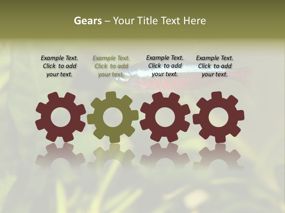 Water Freshwater Tropical PowerPoint Template