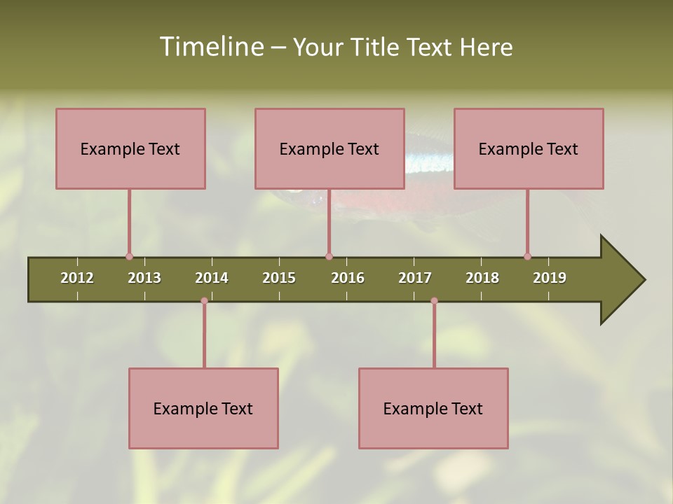 Water Freshwater Tropical PowerPoint Template