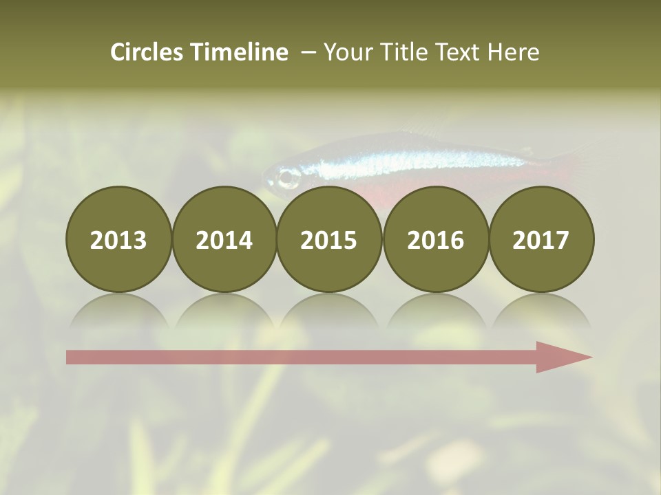 Water Freshwater Tropical PowerPoint Template