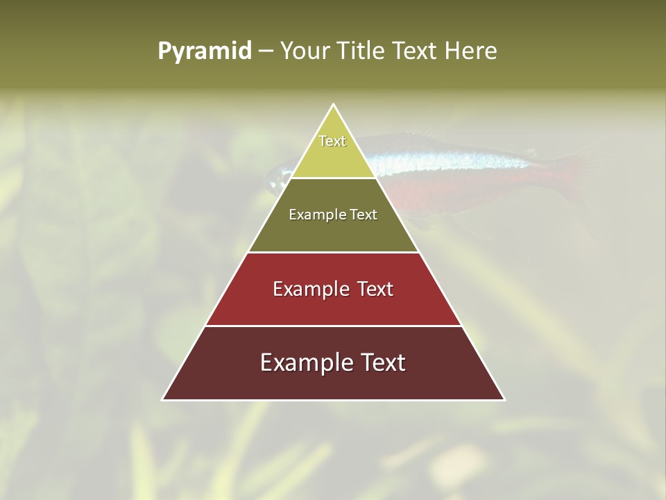 Water Freshwater Tropical PowerPoint Template