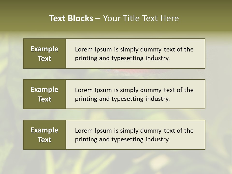Water Freshwater Tropical PowerPoint Template