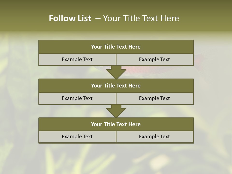 Water Freshwater Tropical PowerPoint Template