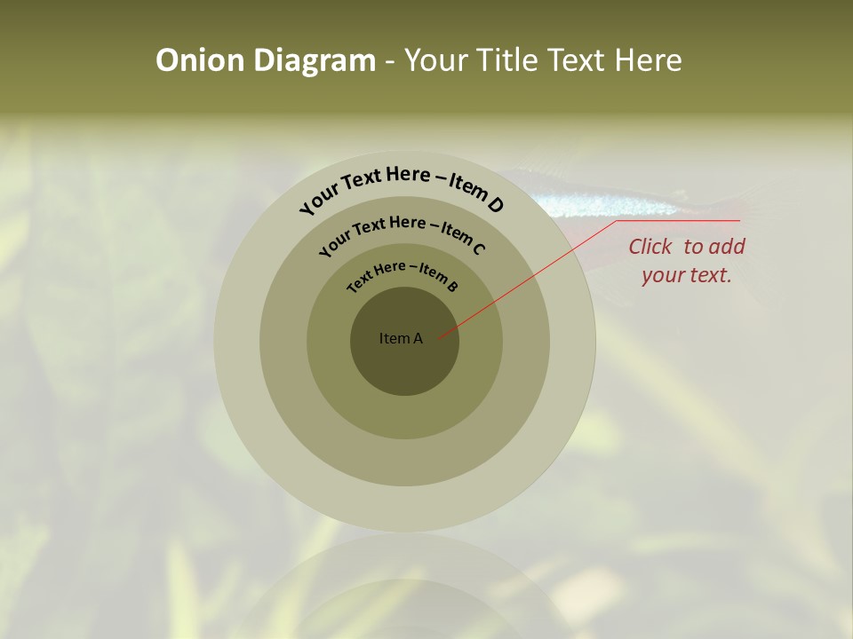 Water Freshwater Tropical PowerPoint Template