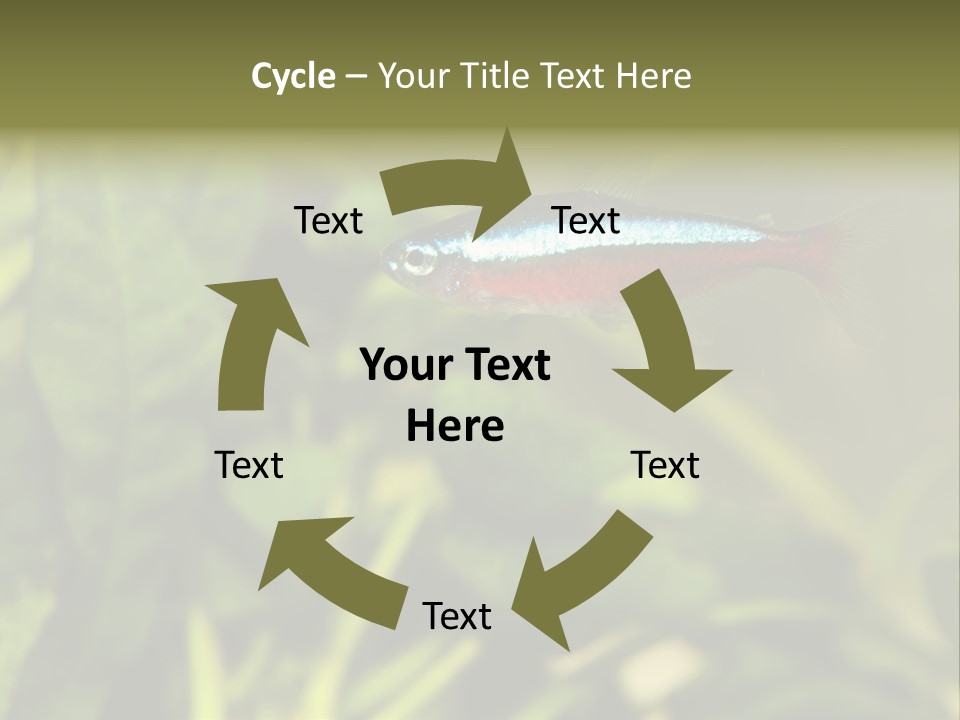 Water Freshwater Tropical PowerPoint Template