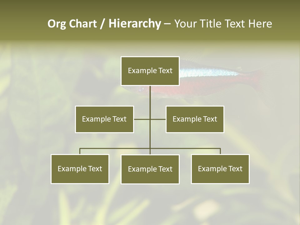 Water Freshwater Tropical PowerPoint Template