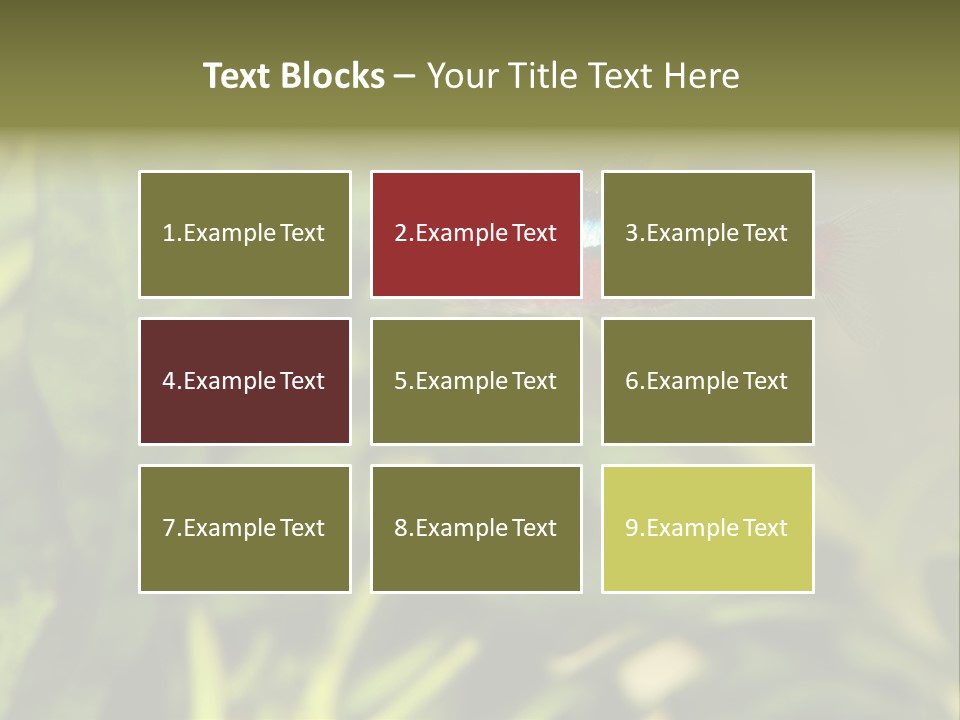 Water Freshwater Tropical PowerPoint Template