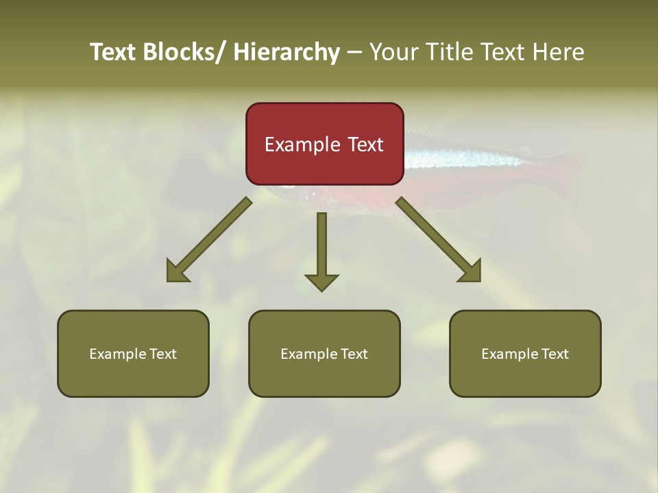 Water Freshwater Tropical PowerPoint Template