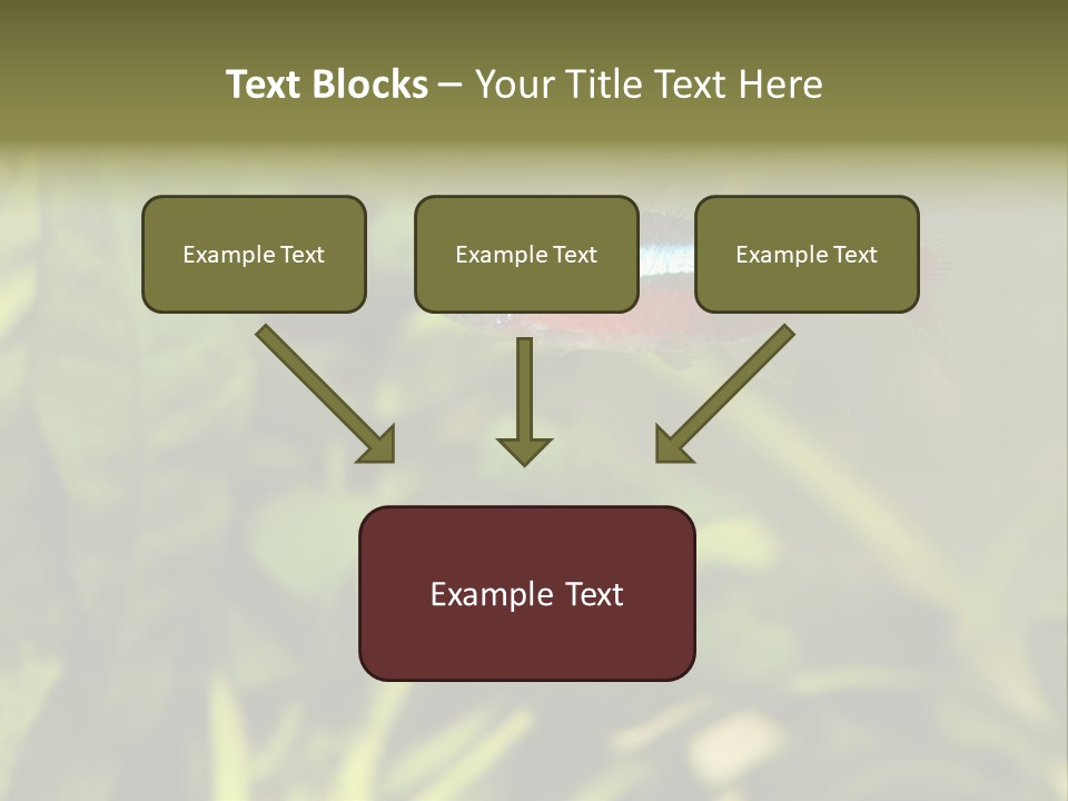 Water Freshwater Tropical PowerPoint Template