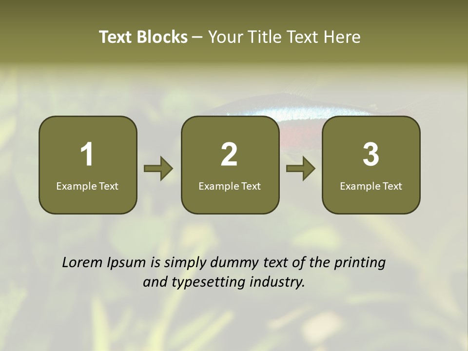 Water Freshwater Tropical PowerPoint Template