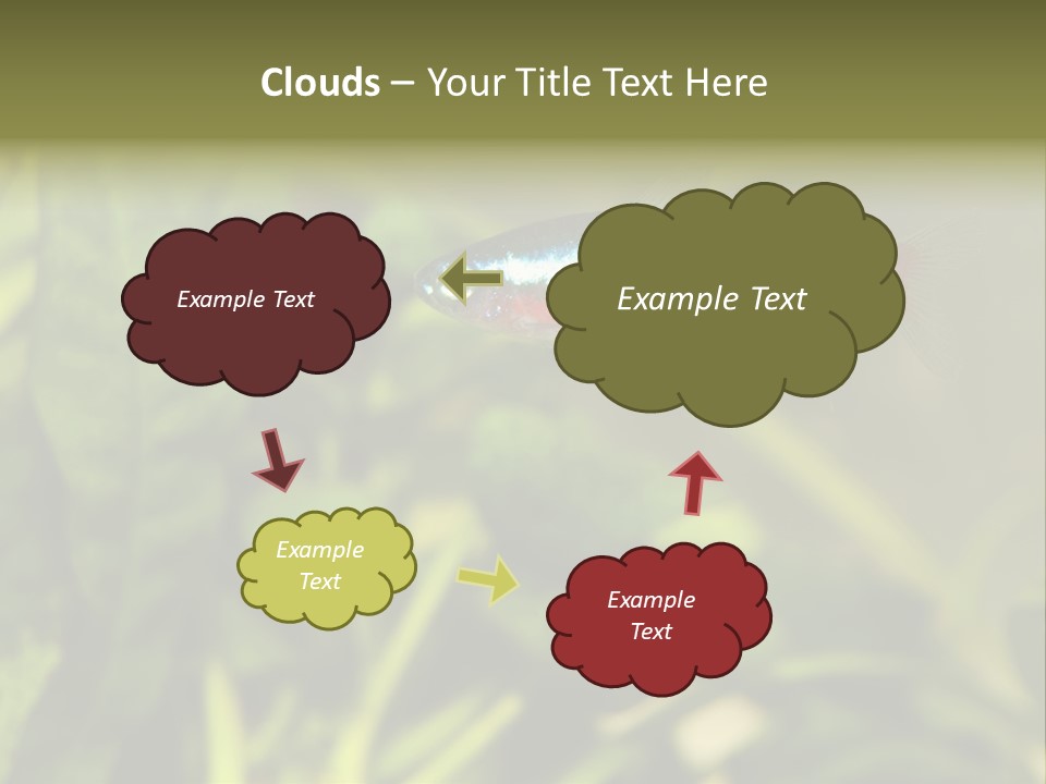 Water Freshwater Tropical PowerPoint Template