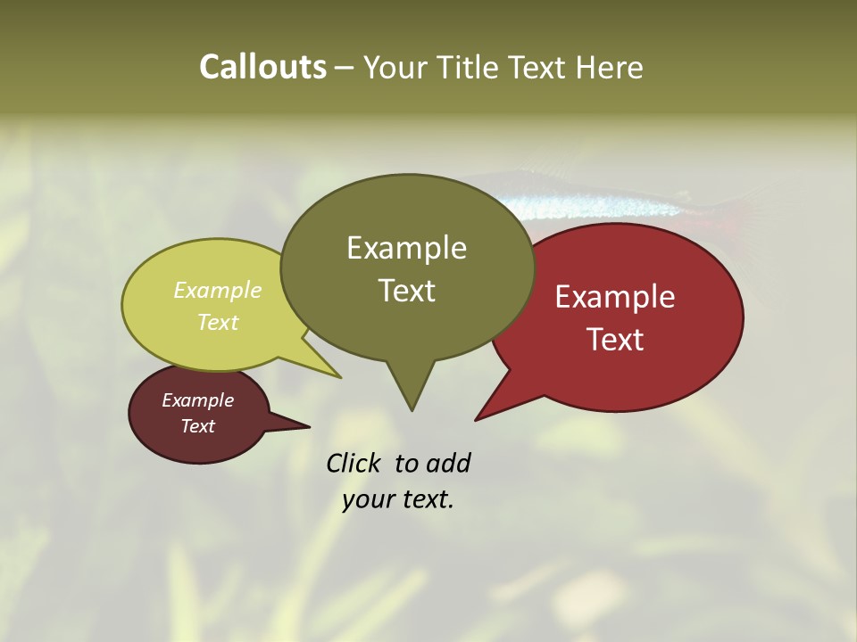 Water Freshwater Tropical PowerPoint Template