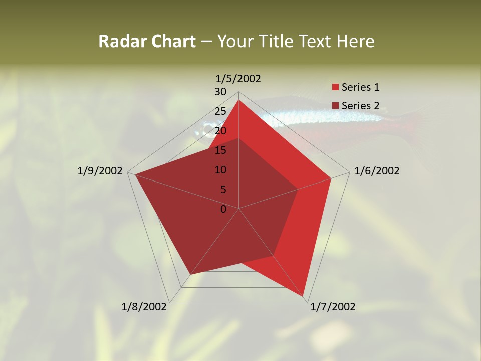 Water Freshwater Tropical PowerPoint Template