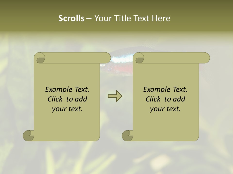 Water Freshwater Tropical PowerPoint Template