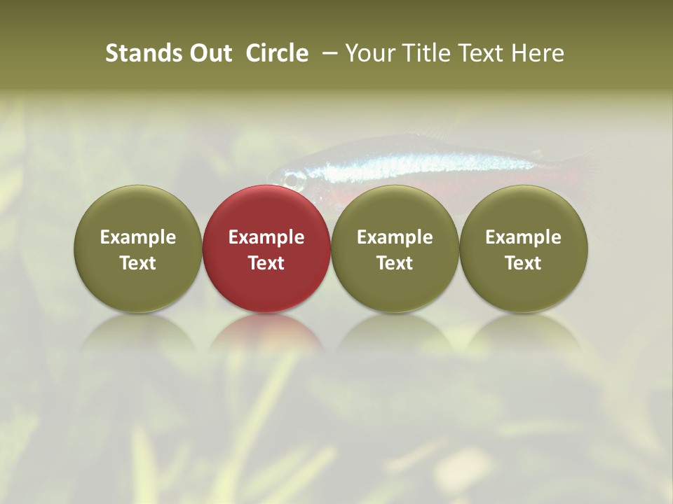 Water Freshwater Tropical PowerPoint Template