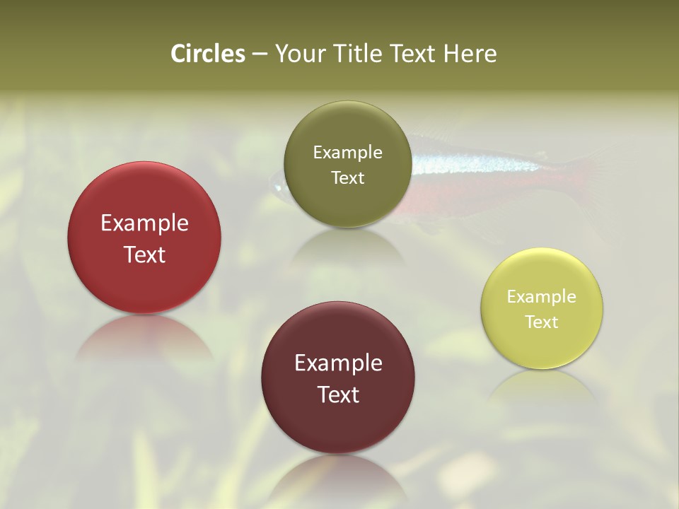 Water Freshwater Tropical PowerPoint Template