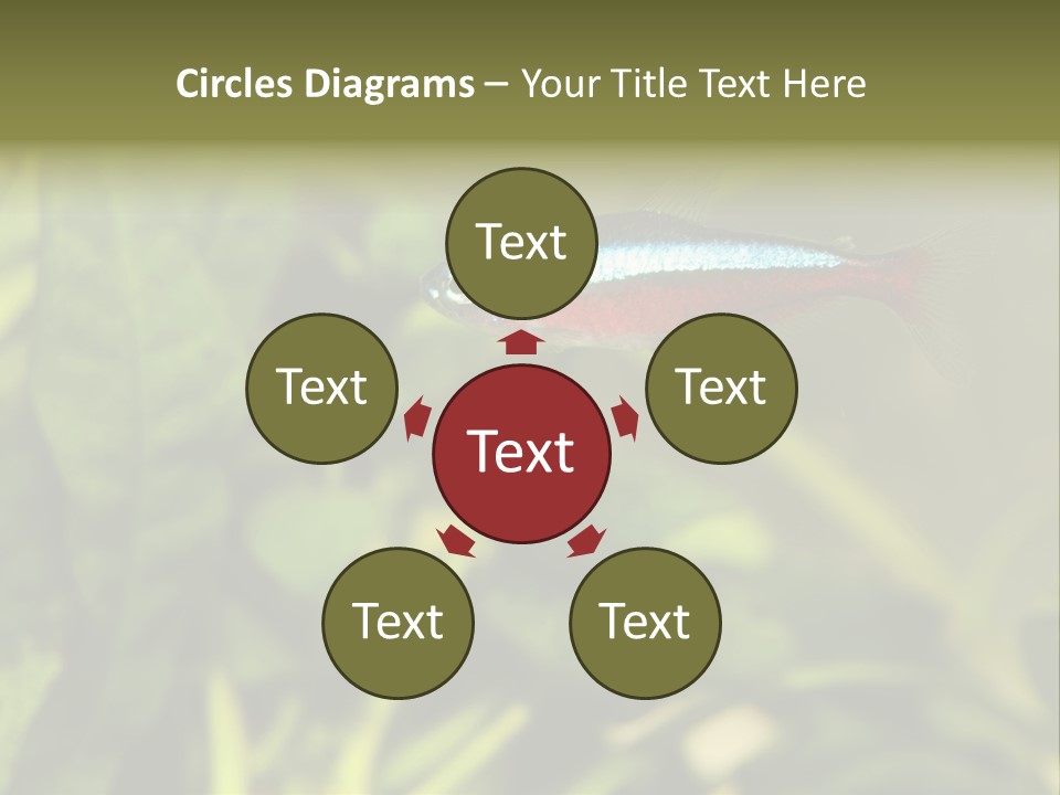 Water Freshwater Tropical PowerPoint Template